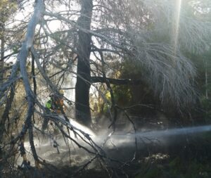 Incendio forestal en Cala de Bou.