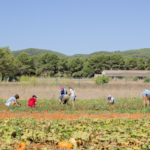 Six Senses Ibiza se suma al movimiento ‘Giving For Good’