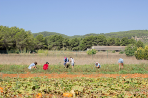 Six Senses se une a 'Giving For Good' (Ph press)