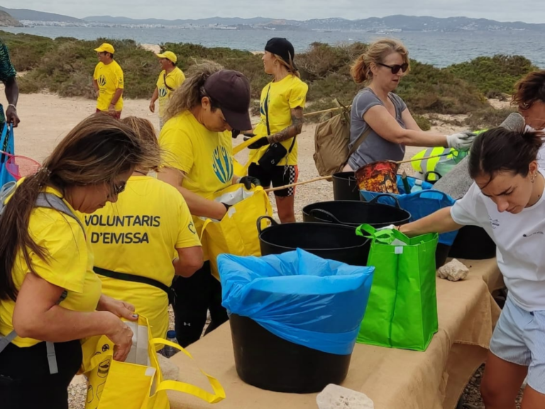 Voluntaris d'Eivissa x Plastic Free Ibiza3