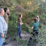 Santa Eul&agrave;ria inicia trabajos para crear 7,6 hect&aacute;reas de fajas antiincendios en es Melvins y Can Pep Sim&oacute;