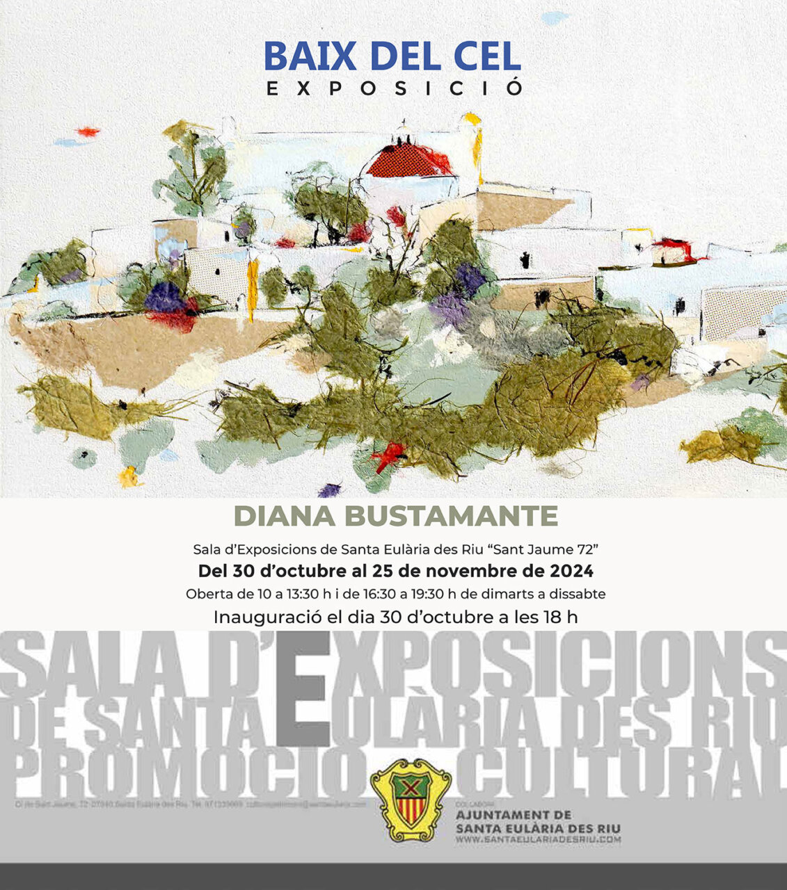 POSTER EXPO DIANA BUSTAMANTE baix del cel networks