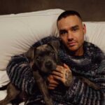 Conmoci&oacute;n por la muerte de Liam Payne de One Direction a los 31 a&ntilde;os: &laquo;Era un cr&iacute;o&hellip;&raquo;