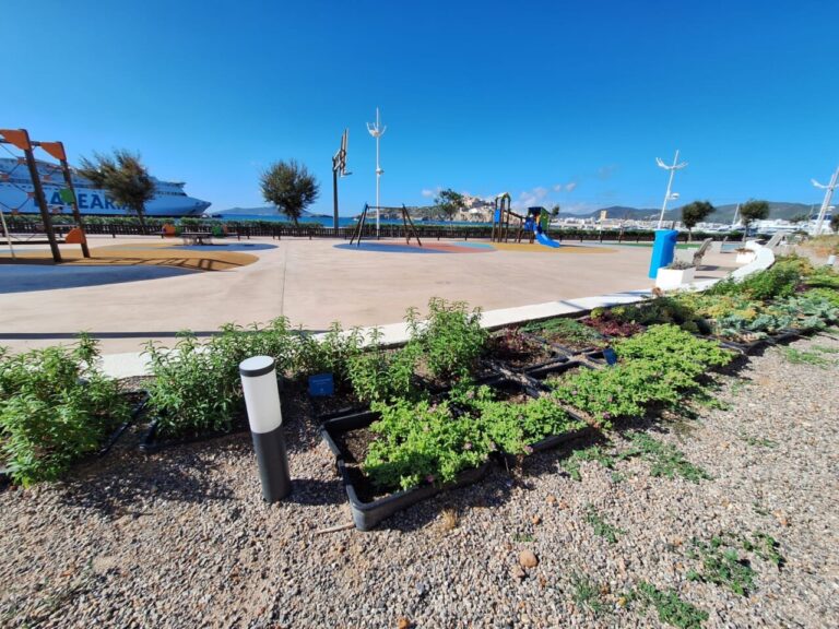 Plantas en el puerto de Ibiza.