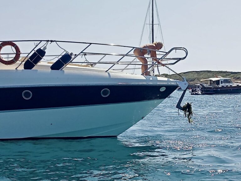 Servicio de Vigilancia de la Posidonia.