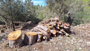 Acciones de Sant Josep para evitar incendios.
