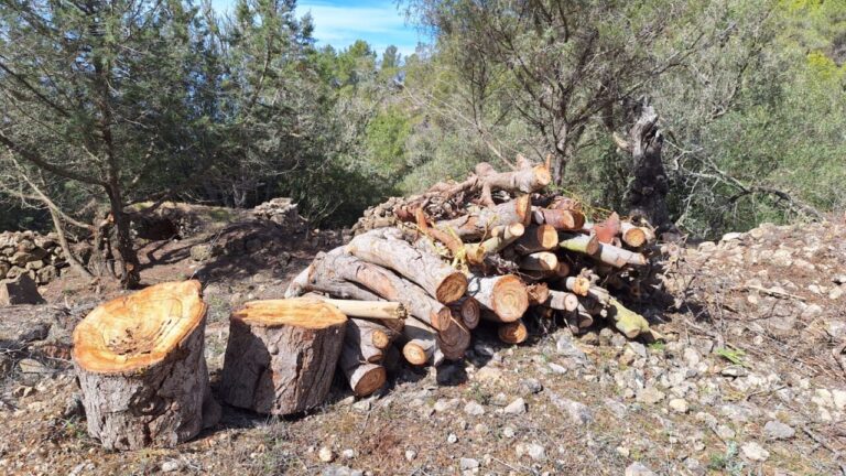 Acciones de Sant Josep para evitar incendios.