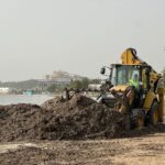 Plan de choque en el litoral: la posidonia se queda en la arena para regenerar las playas de Ibiza