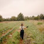 Six Senses Ibiza opens the call for applications for the third edition of the Sustainability Fund