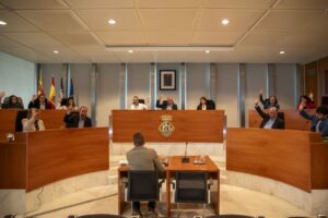Pleno del Consell de Ibiza