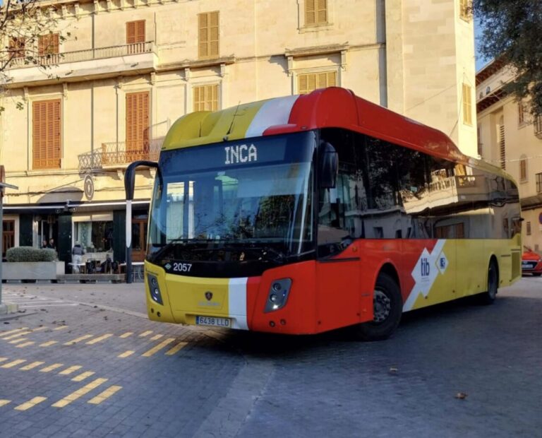 Autobús del TIB.