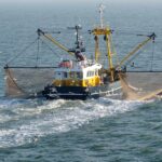Nuevas medidas de pesca: por qu&eacute; Ibiza y Formentera dependen de lo que haga el resto de Espa&ntilde;a