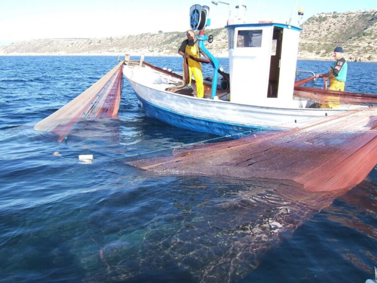 Pesca de jonquillo.