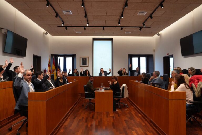 Pleno del Ayuntamiento de Ibiza.