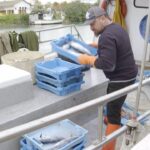 &laquo;Pescado un pel&iacute;n m&aacute;s caro&raquo;: c&oacute;mo afectan a Ibiza y Formentera las nuevas medidas a la pesca de arrastre de la UE