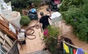 Captura de video de la mujer denunciada por okupa en Santa Eulali