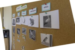 Colegio biling&uuml;e en Baleares.