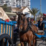 Bad weather disrupts Sant Antoni Day celebrations: what activities are cancelled?