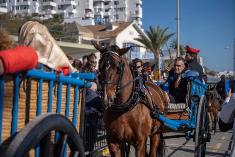 El tradicional desfile de carros de Sant Antoni.