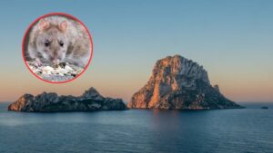 Dise&ntilde;o sin t&iacute;tulo (13)