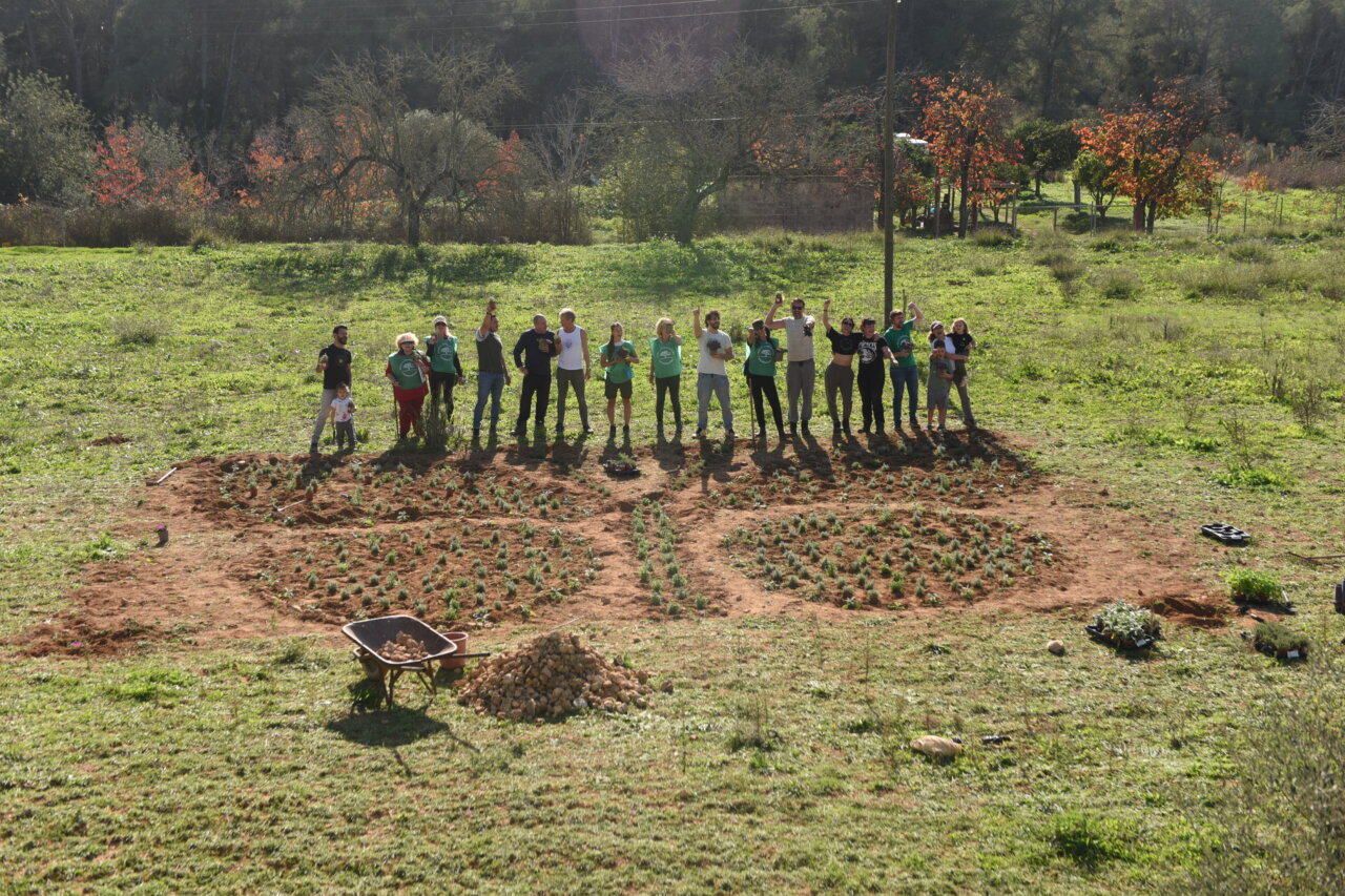 Plantación jardin mariposas