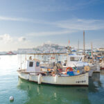 What COSMIC, the initiative that will use AI to save energy in ports, will look like and why Ibiza is excited about it