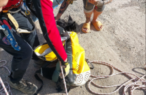 Perro rescatado en Sant Joan.