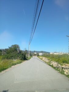 20250331 Cami de ses Pitreres