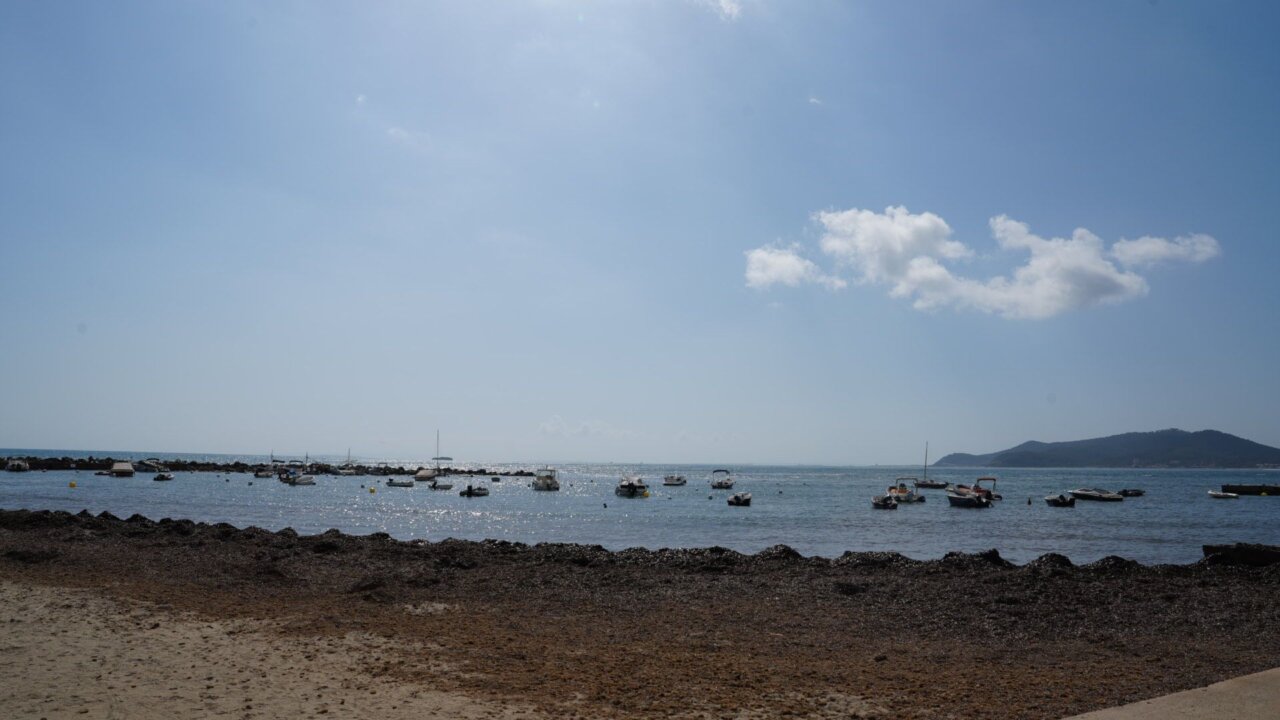 Playa de Sa Punta.