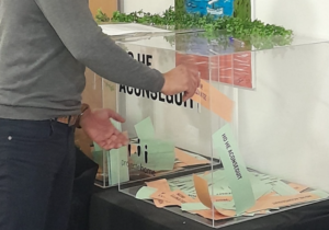 Proyecto hombre en Ibiza.