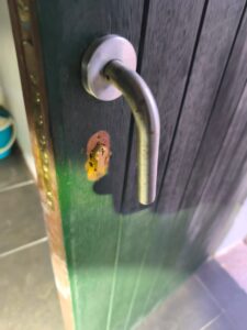 WhatsApp Image 2025 03 18 at 08.08.44