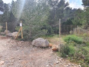 Imagen de WhatsApp 2025 04 01 a las 09.23.46 a0531944