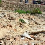 vertido calo des moro 5 (1)