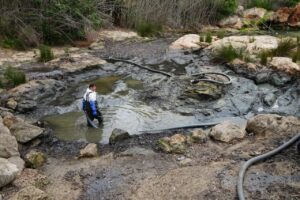 20250514 El Ayuntamiento de Santa Eulària inicia las tareas de limpieza para mejorar la calidad del río y la laguna 1
