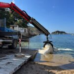 Animals Marins 2