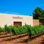 Bodega Terramol en Formentera