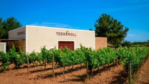 Bodega Terramol en Formentera