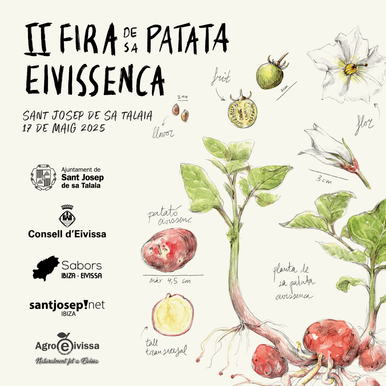 Cartell