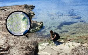 Dise&ntilde;o sin t&iacute;tulo (1)