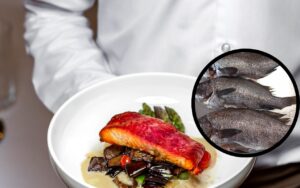 Dise&ntilde;o sin t&iacute;tulo (2)