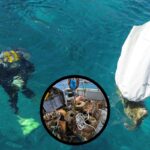 Residuos peligrosos encontrados en una limpieza submarina.