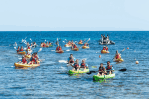 Enjoy Ibiza Day en Santa Eulària (Foto Enjoy Ibiza Day)