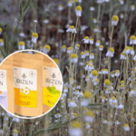 Hierbas ibicencas, producción de Ibizen.