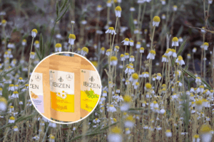 Hierbas ibicencas, producción de Ibizen.