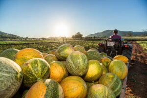 Imagen de WhatsApp 2025 05 16 a las 10.34.18 c450a66d