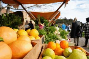 Mercado ecol&oacute;gico de Can Planetes (Foto Ayuntamiento de Santa Eul&agrave;ria)