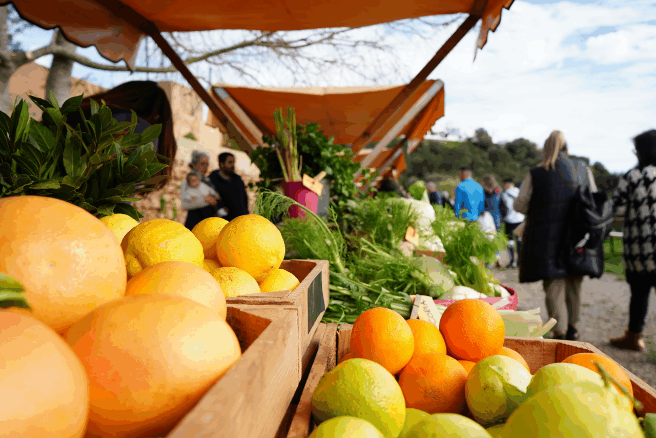 Mercado ecológico de Can Planetes (Foto Ayuntamiento de Santa Eulària)