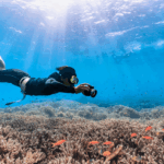 Persona haciendo Snorkel (Foto Archivo)