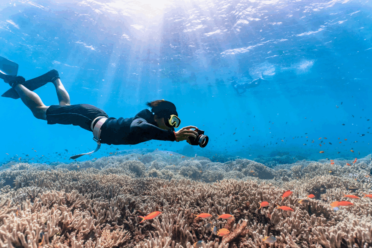 Persona haciendo Snorkel (Foto Archivo)