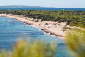 Vista aérea de la playa de Es Cavallet en Ibiza, rodeada de naturaleza y mar turquesa